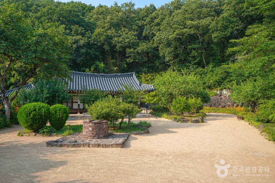 함안 강주해바라기 축제+무진정+다솔사+진주 월아산 수국축제+호암 이병철 생가+악양생태공원 금계국