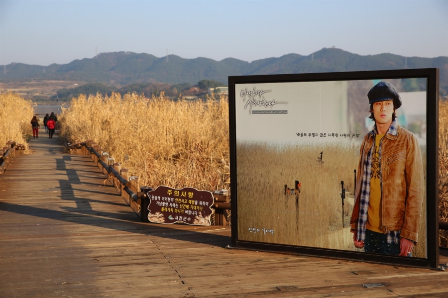 익산 천만송이 국화축제+서천 신성리 갈대밭+나바위성당+황등석산 채석장+문헌서원