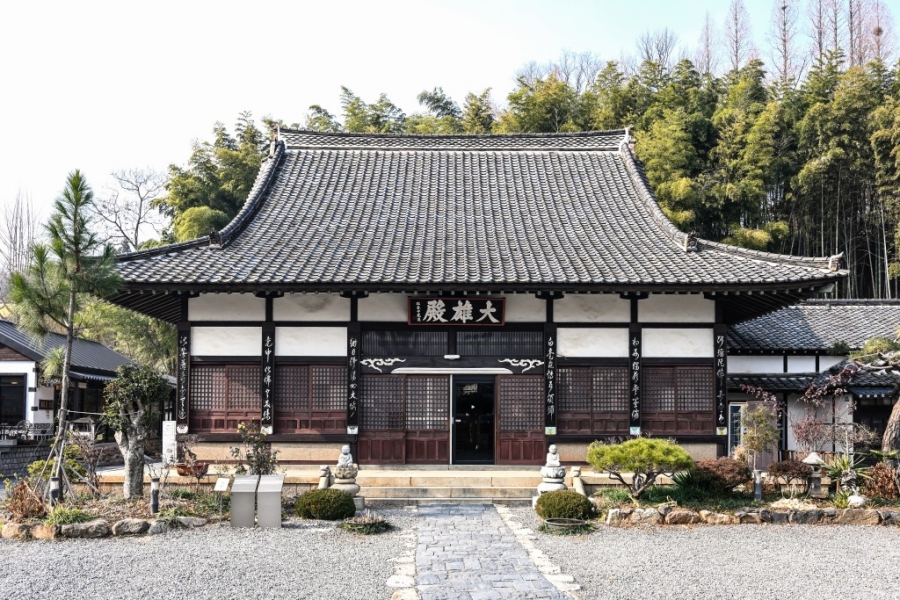익산 천만송이 국화축제+군산 군대화거리+서천 신성리 갈대밭+황등석산 채석장+문헌서원