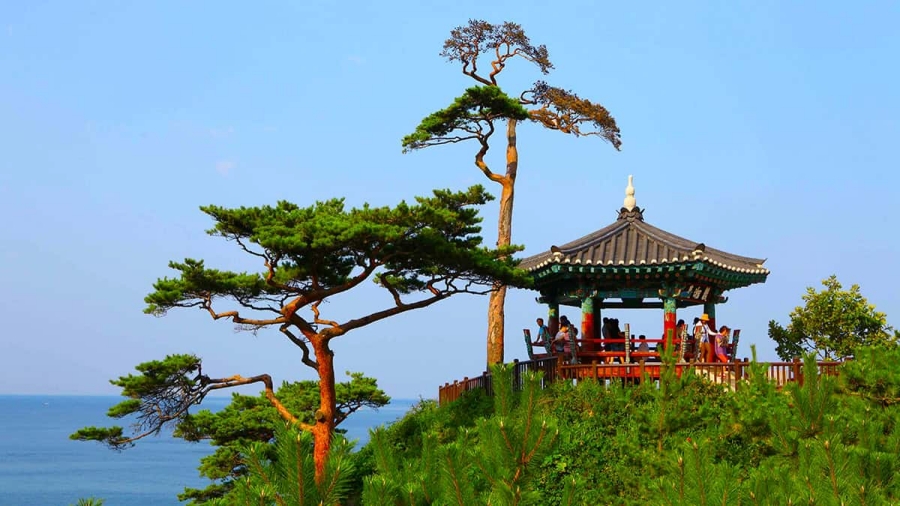 [양양 명품사찰] 낙산사+휴휴암+송지호 관망타워+동해안 3번째 큰섬 죽도(대섬)