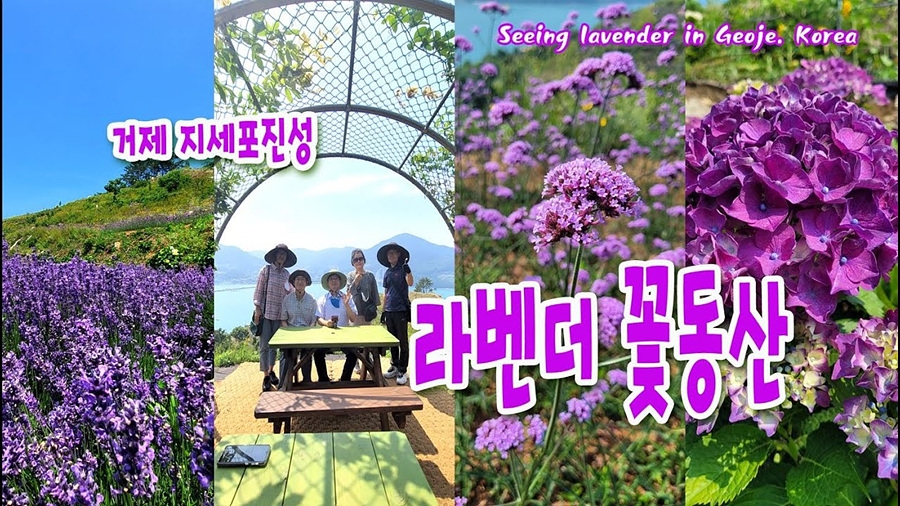 거제 저구항 남부면 수국+지세포진성 꽃동산+해금강 우제봉전망대+명사항 다목적 해상데크+노랑버덩+바람의 언덕