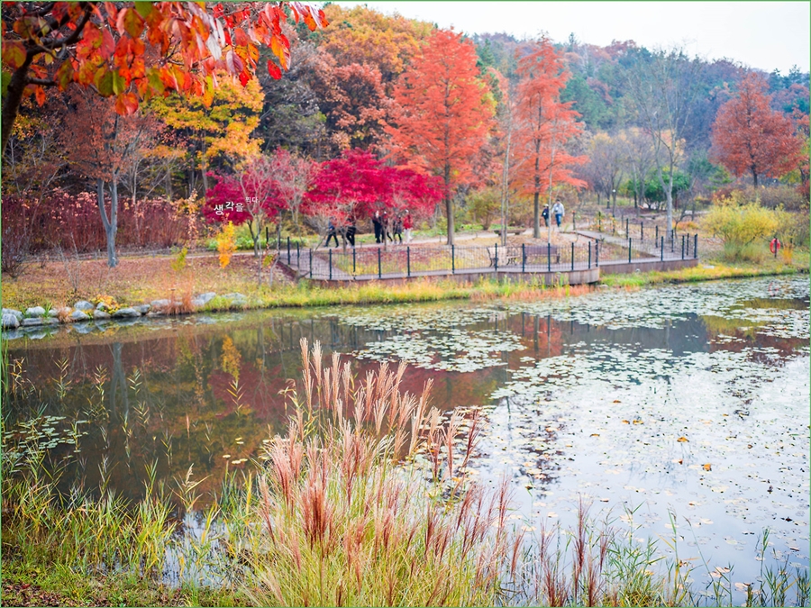 화담숲 가을단풍축제+여주 황학산 수목원+명성왕후 생가