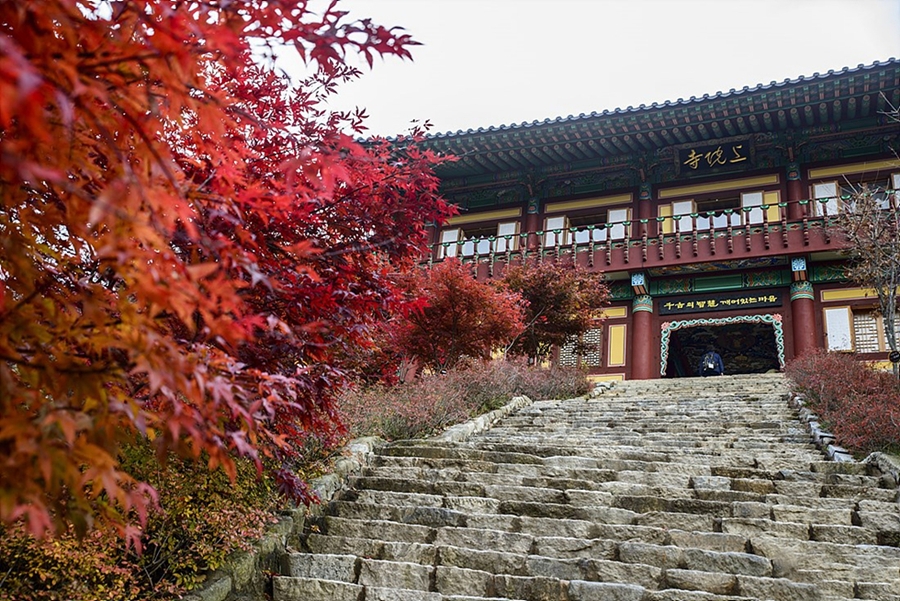 오대산 월정사+선재길+상원사 단풍길(트레킹 또는 관광)+평창 바위공원