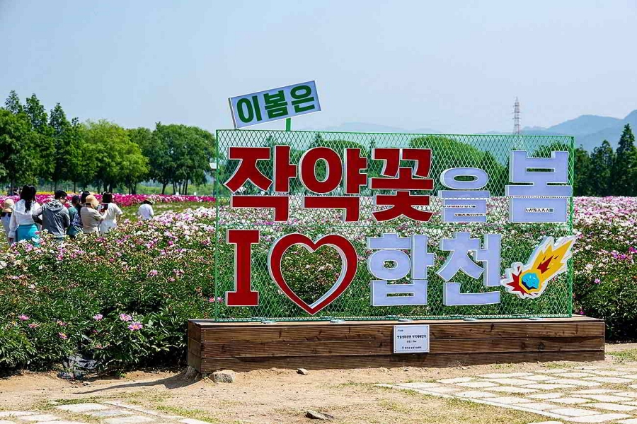 합천 황매산 철쭉제+핫들생태공원 작약+전 구형왕릉+성철스님 생가 터 겁외사+남사예담촌