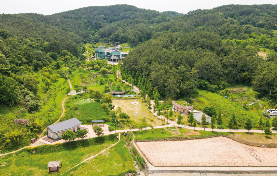 통영RCE세자트라숲+이순신공원 수국 산책로+달아전망대+통영 중앙전통시장+광도천 수국꽃길