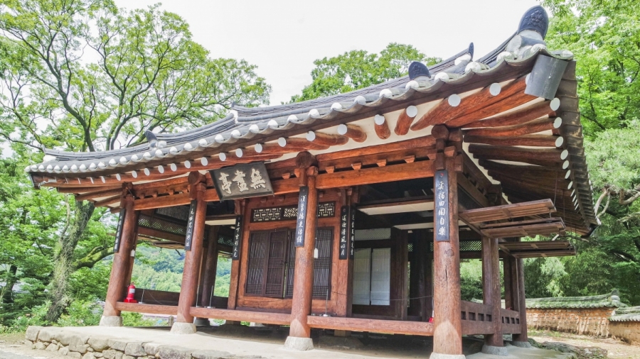 함안 강주해바라기 축제+무진정+다솔사+진주 월아산 수국축제+호암 이병철 생가+악양생태공원 금계국