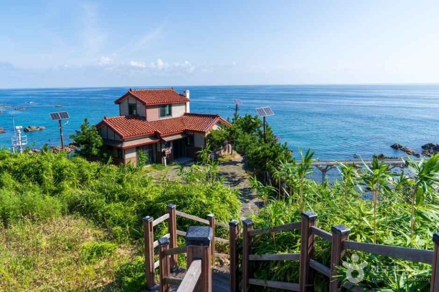 [울진] 바닷속 전망대+죽변 등대+폭풍속으로 세트장+관동팔경(망양정+월송정)+평해사구습지+바닷가 정자 금호정+촛대바위+물개바위