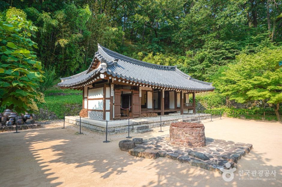 함안 강주해바라기 축제+무진정+다솔사+진주 월아산 수국축제+호암 이병철 생가+악양생태공원 금계국