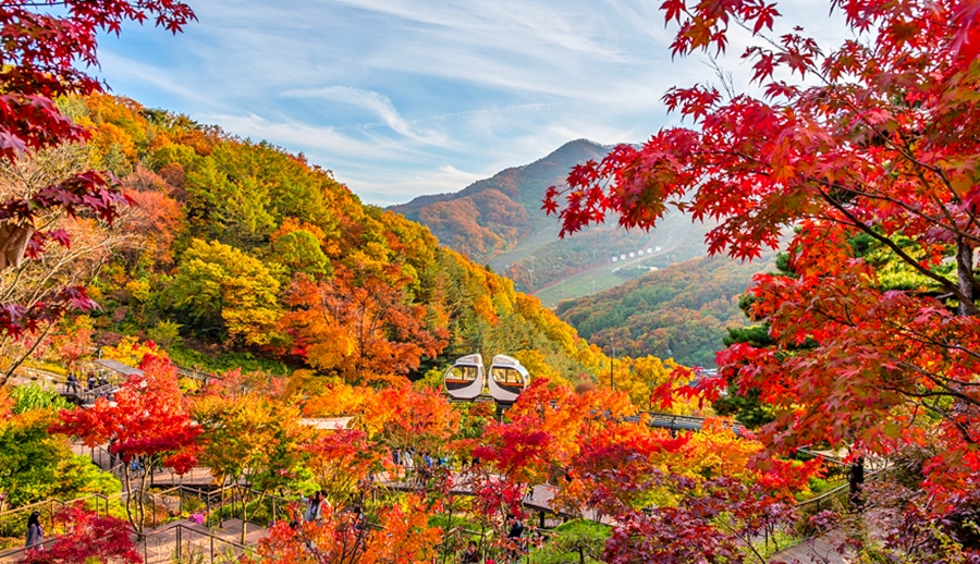 화담숲 가을단풍축제+여주 황학산 수목원+명성왕후 생가