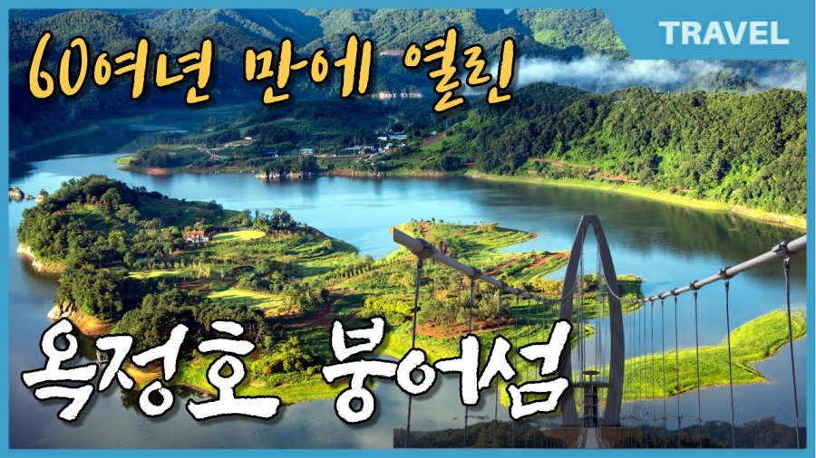 전국최대 정읍 구절초꽃축제+천만송이 임실치즈테마파크 국화꽃+옥정호 출렁다리+붕어섬 생태공원
