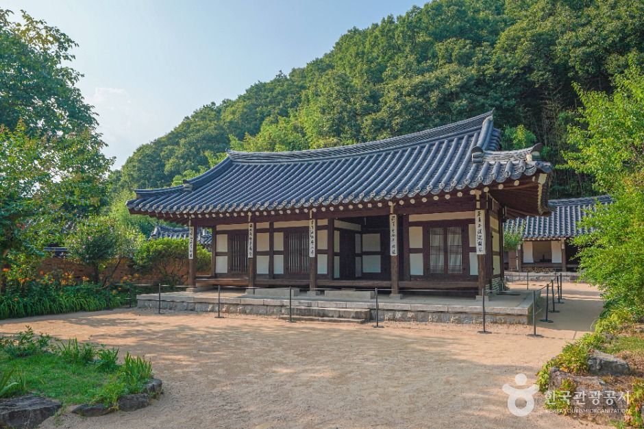 함안 강주해바라기 축제+무진정+다솔사+진주 월아산 수국축제+호암 이병철 생가+악양생태공원 금계국