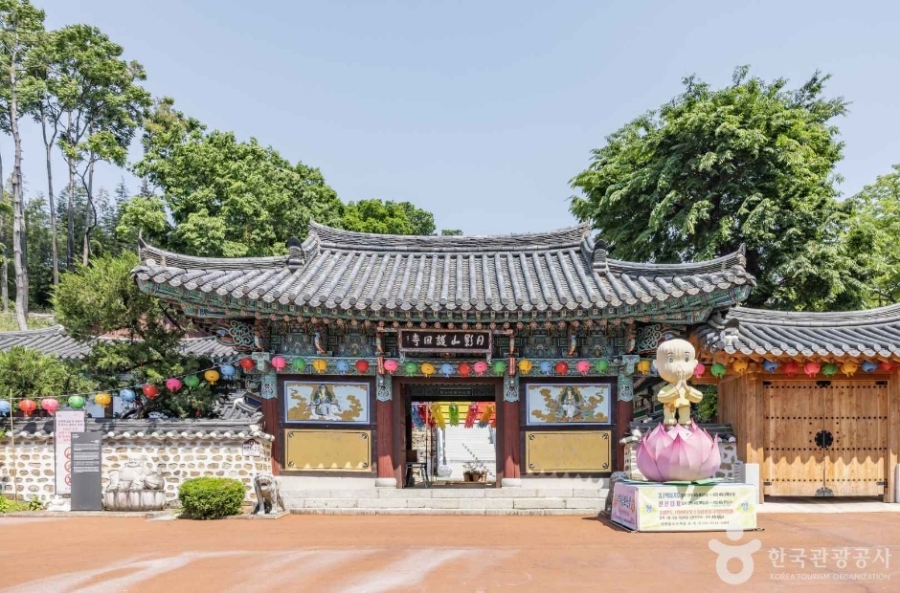 [3사찰] 진주 월아산 수국 수국 페스티벌+사천 다솔사(천년고찰)+진주 응석사+진주성 호국사