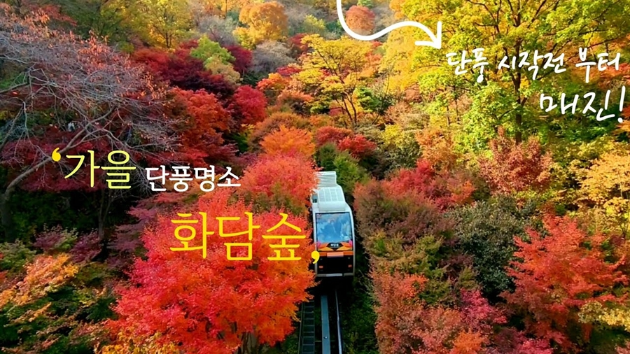 화담숲 가을단풍축제+여주 황학산 수목원+명성왕후 생가