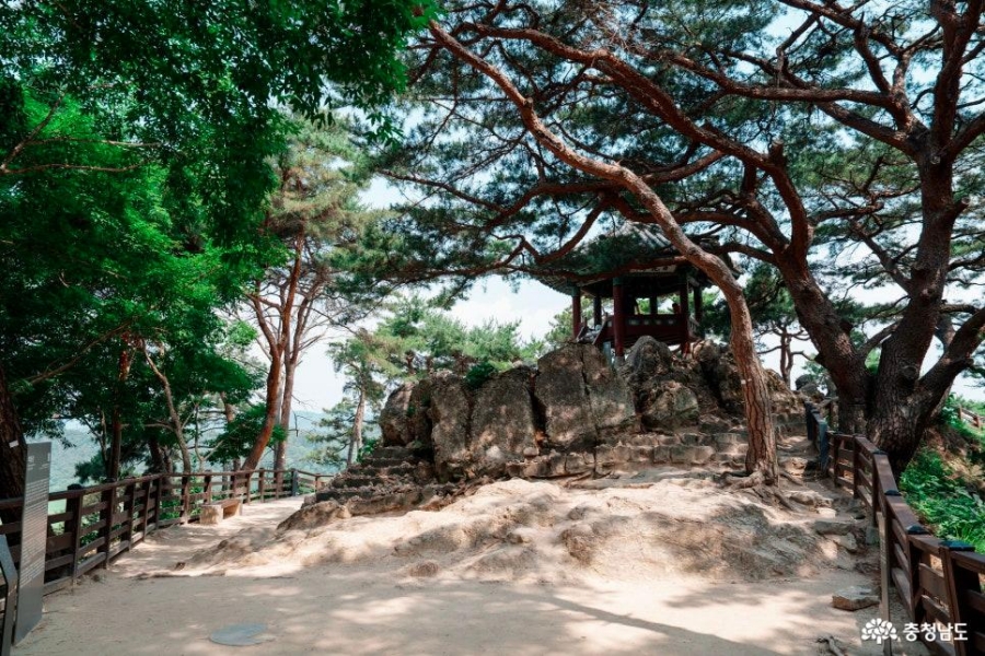 세종 대통령기록관+부여 서동연꽃 1,000만 송이(궁남지)+백마강유람선(황포돛배)+고란사+낙화암+부소산성+부여박물관