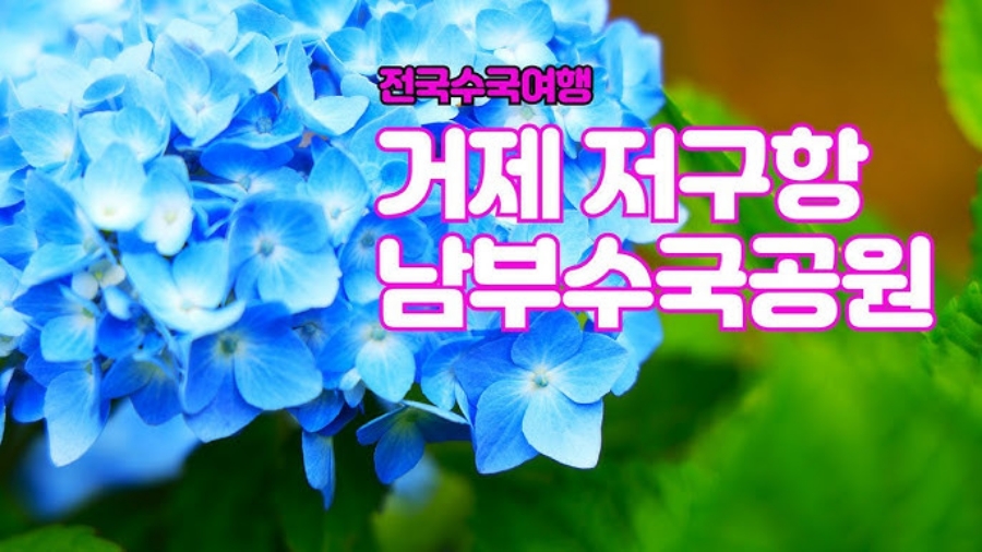 거제 저구항 남부면 수국+지세포진성 꽃동산+해금강 우제봉전망대+명사항 다목적 해상데크+노랑버덩+바람의 언덕