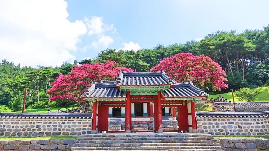 장항 맥문동 꽃 축재+아가페정원+서천 문헌서원 베롱나무+황등석산 채석장 전망대+익산 교도소세트장