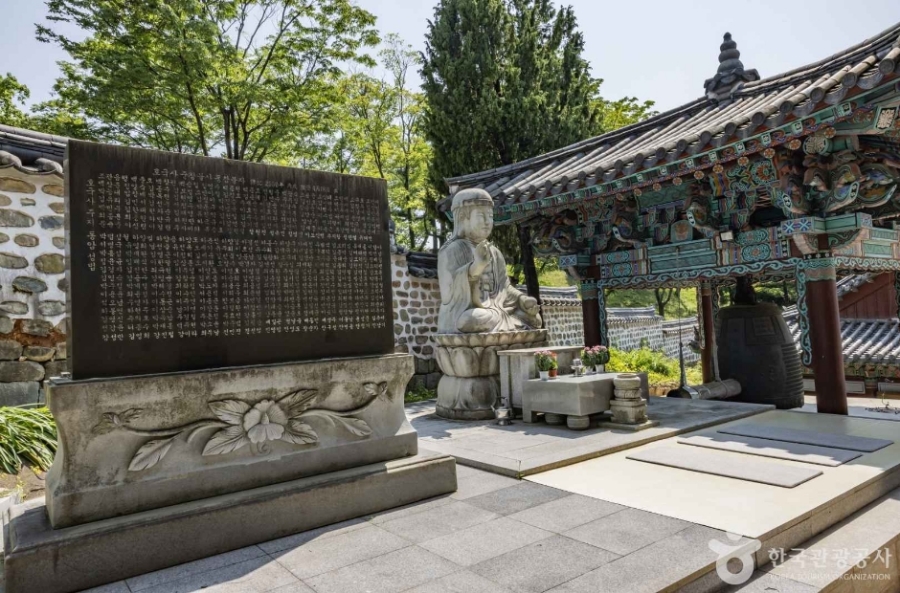 [3사찰] 진주 월아산 수국 수국 페스티벌+사천 다솔사(천년고찰)+진주 응석사+진주성 호국사