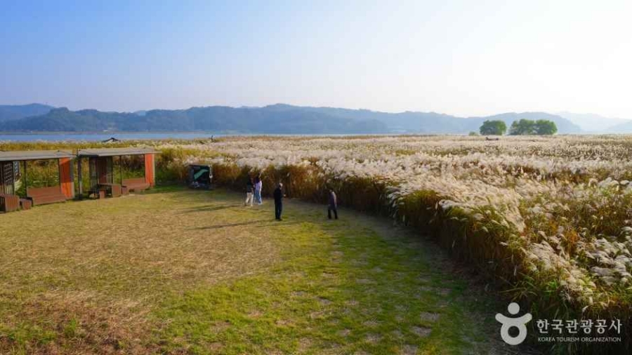 익산 천만송이 국화축제+서천 신성리 갈대밭+나바위성당+황등석산 채석장+문헌서원