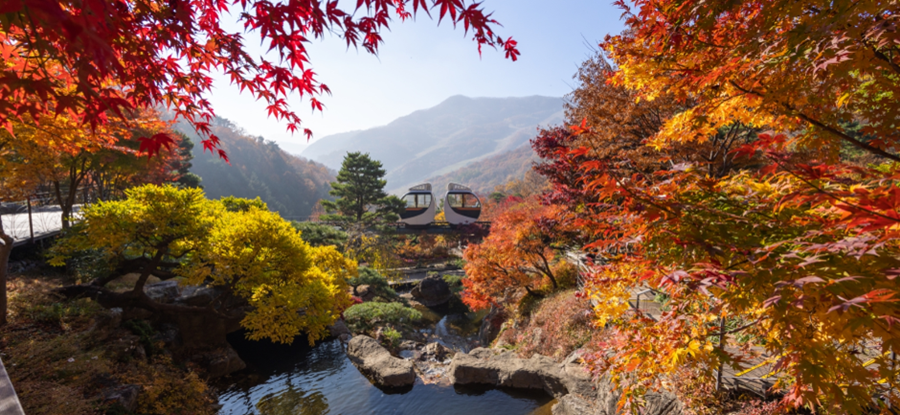 화담숲 가을단풍축제+여주 황학산 수목원+명성왕후 생가