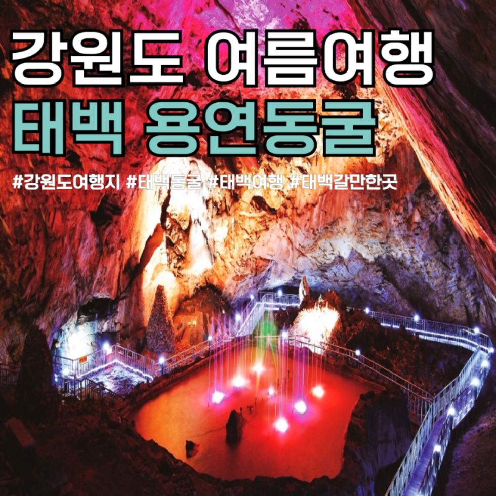 태백 해바라기축제(구와우마을)+시원한 용연굴+만항재 야생화축제+적멸보궁 정암사 복제