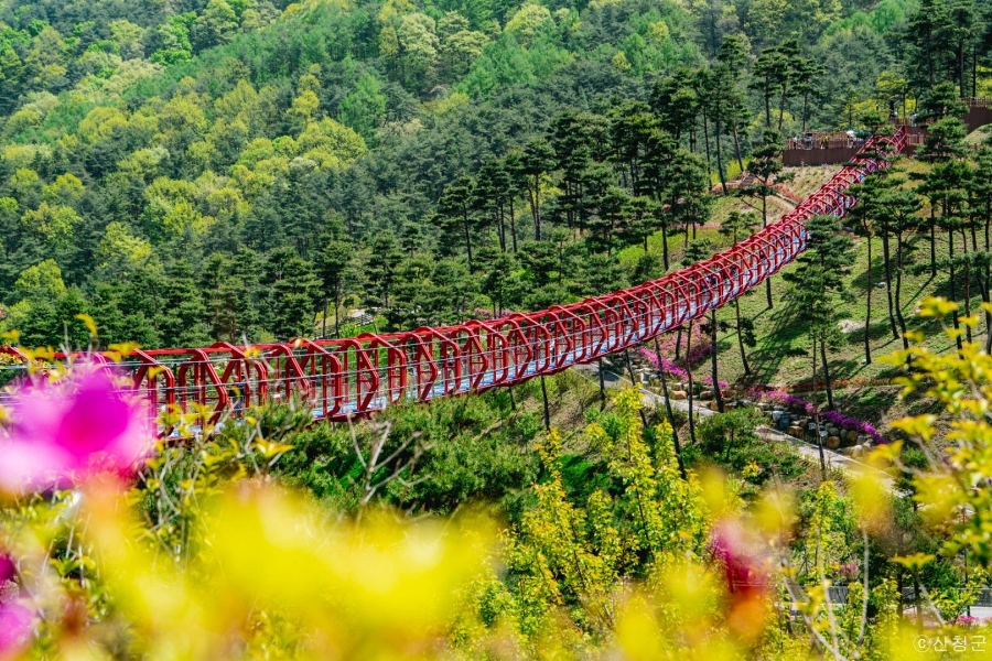 합천 황매산 철쭉제+핫들생태공원 작약+동의보감촌+아름다운 사찰 수선사
