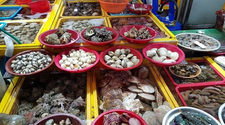통영RCE세자트라숲+이순신공원 수국 산책로+달아전망대+통영 중앙전통시장