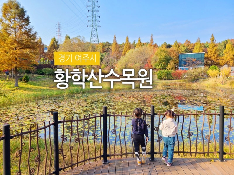 화담숲 가을단풍축제+여주 황학산 수목원+명성왕후 생가