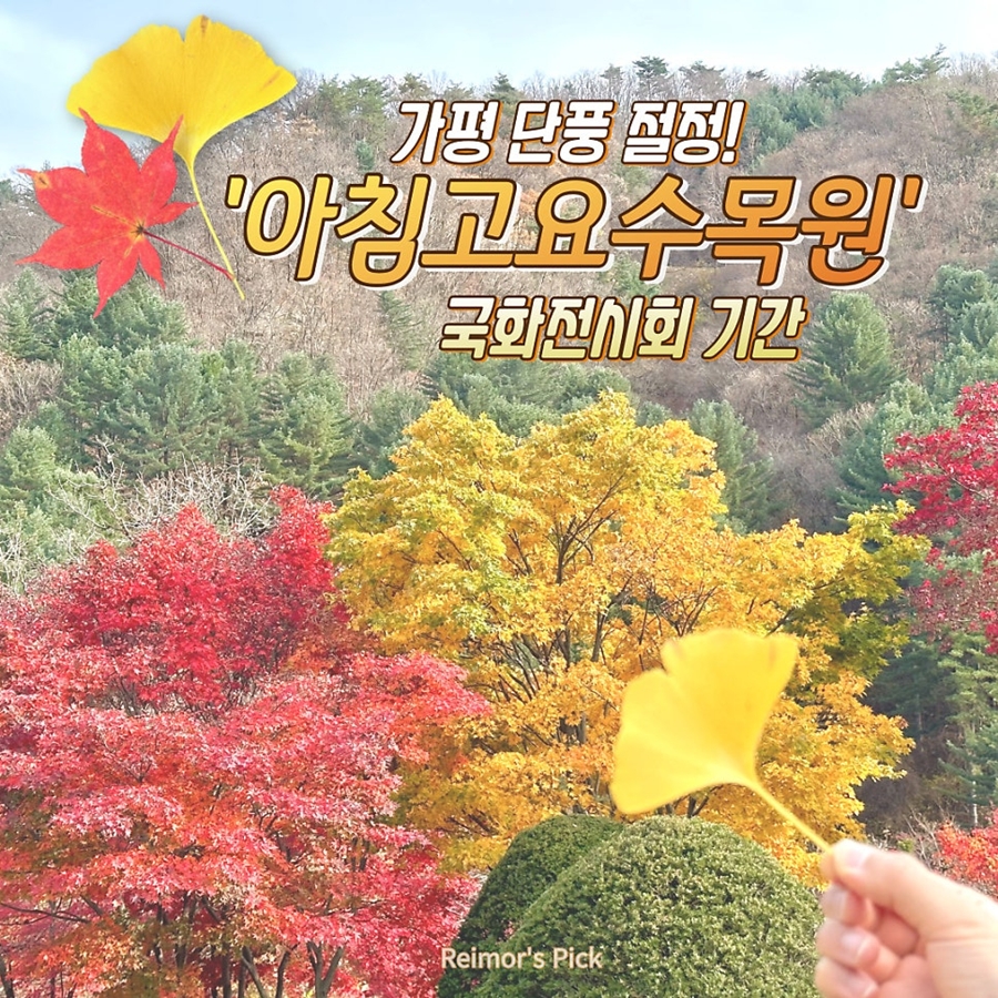 말이 필요 없는 [남이섬] 단풍+가평 [아침고요수목원] 단풍