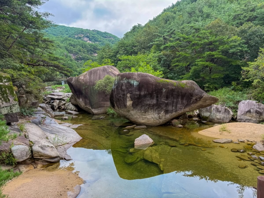 활옥동굴(11~15 ℃ 서늘해요)+동굴 카약체험+중앙탑 사적공원+탄금호 무지개길+충주아쿠아리움+괴산 선유동 계곡