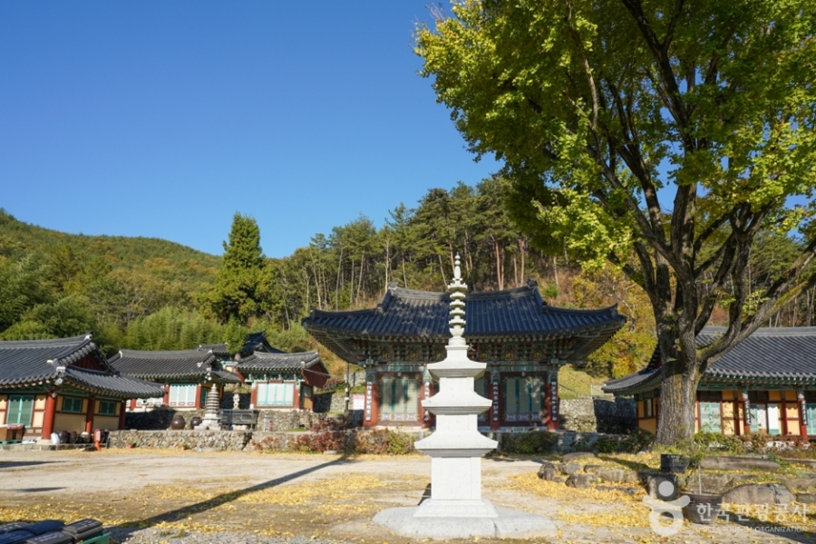 [3사찰] 진주 월아산 수국 수국 페스티벌+사천 다솔사(천년고찰)+진주 응석사+진주성 호국사