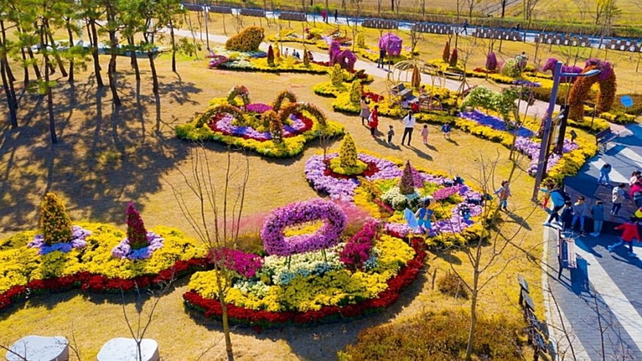 익산 천만송이 국화축제+서천 신성리 갈대밭+나바위성당+황등석산 채석장+문헌서원