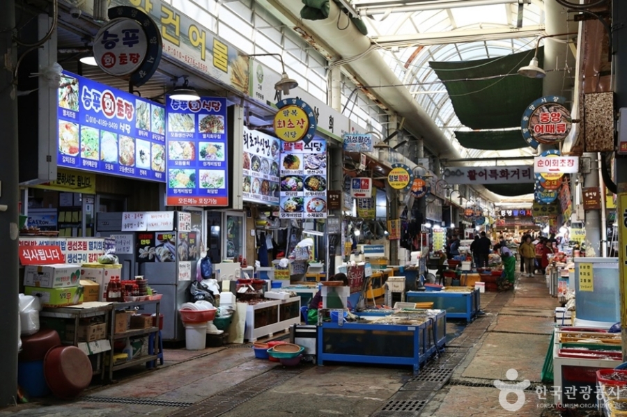 통영RCE세자트라숲+이순신공원 수국 산책로+달아전망대+통영 중앙전통시장