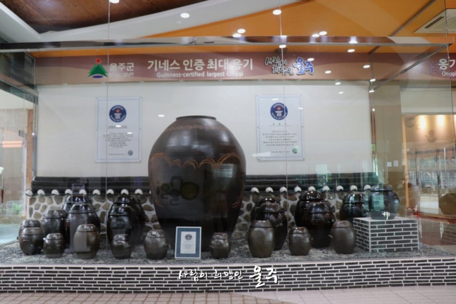 장생포 수국 페스티벌+대왕암 공원 출렁다리+외고산 옹기마을