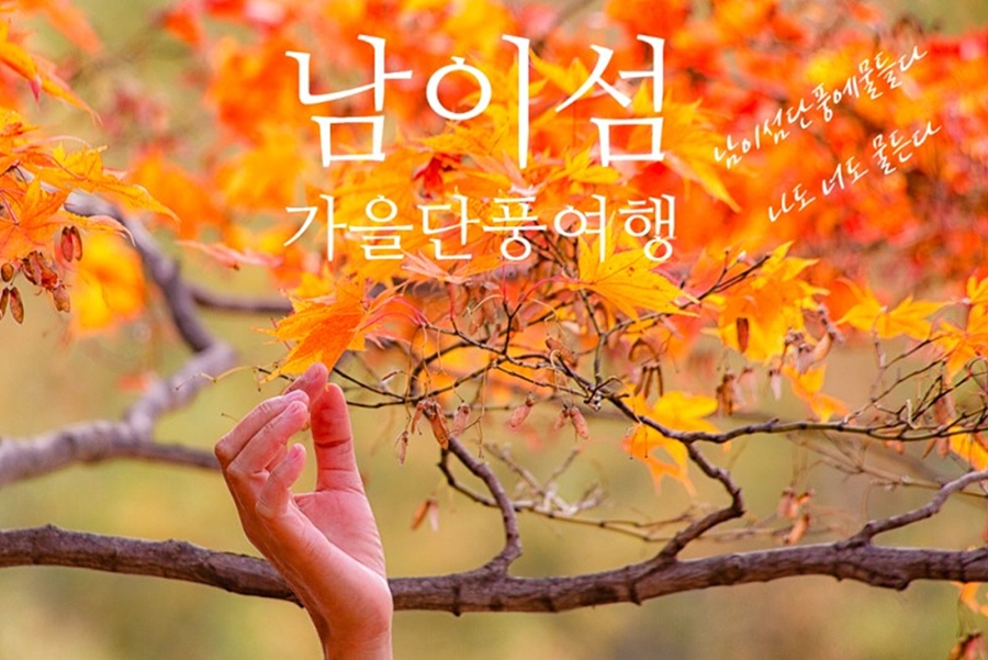 말이 필요 없는 [남이섬] 단풍+가평 [아침고요수목원] 단풍