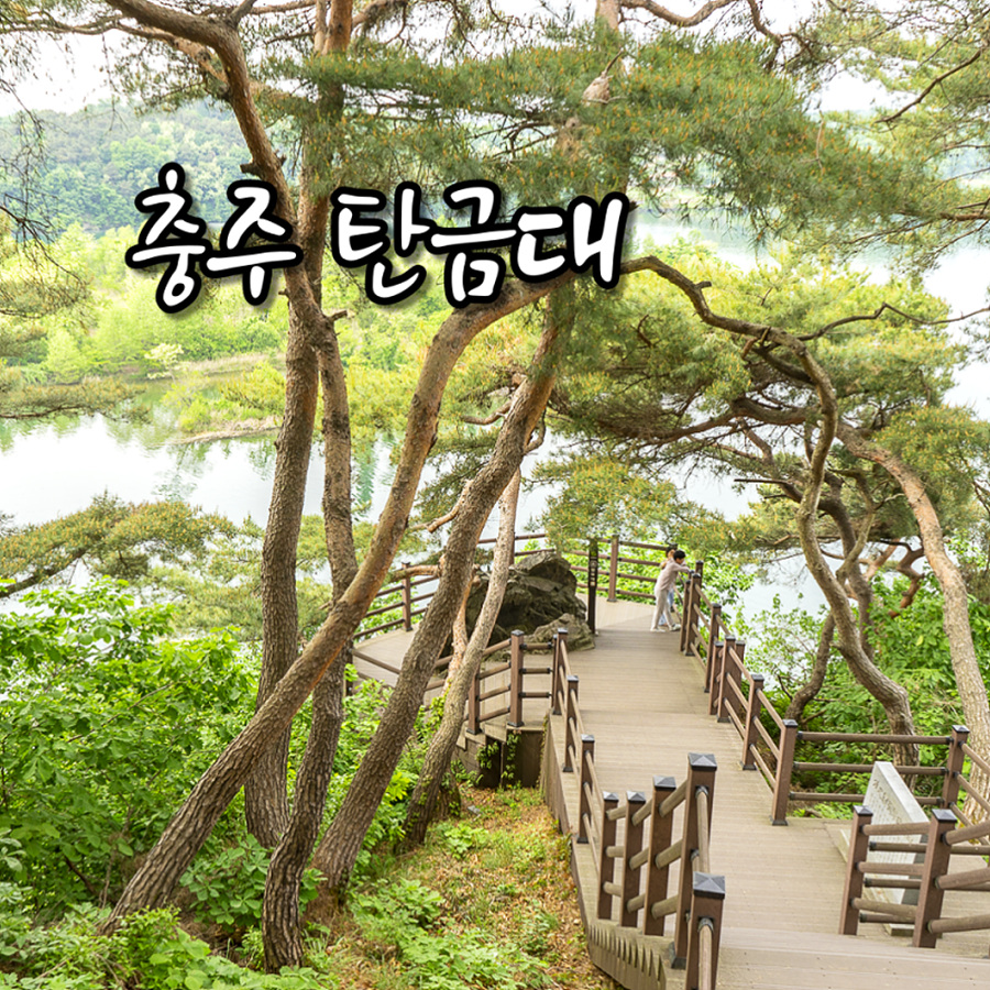 충주 활옥동굴(카약체험)+탄금대+중앙탑사적공원+충주박물관+탄금호 무지개길+수주팔봉+괴산 초원의집