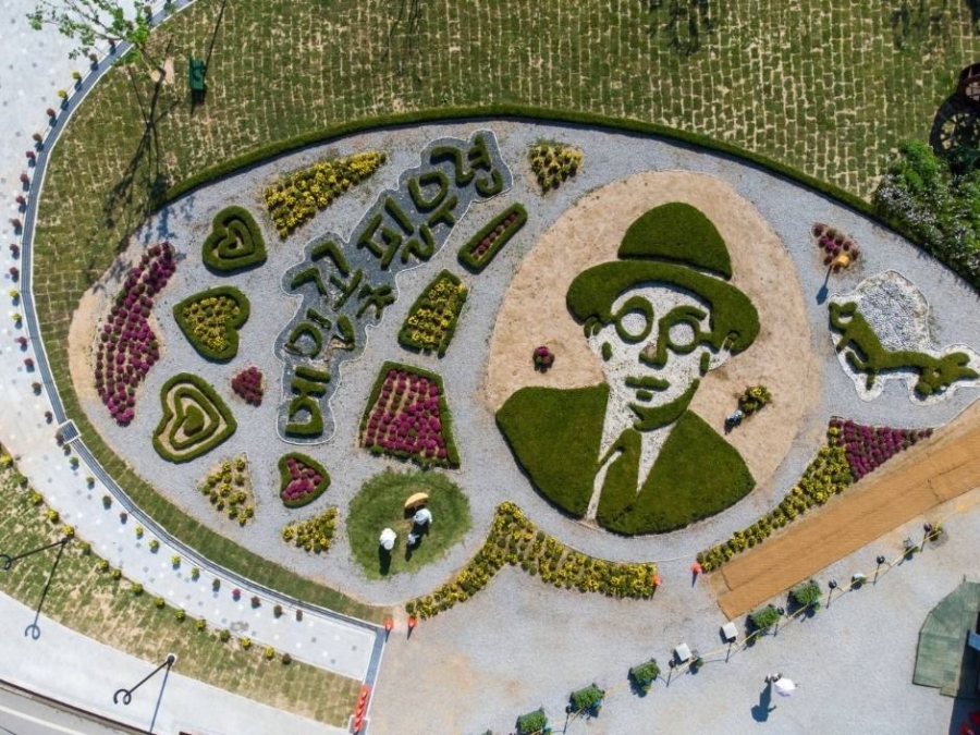 전국최대 봉평 메밀꽃축제(평창 효석문화제)+허브나라농원+밀브릿지 전나무숲