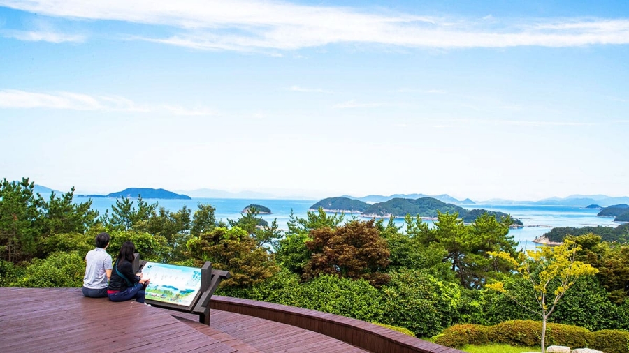 통영RCE세자트라숲+이순신공원 수국 산책로+달아전망대+통영 중앙전통시장+광도천 수국꽃길