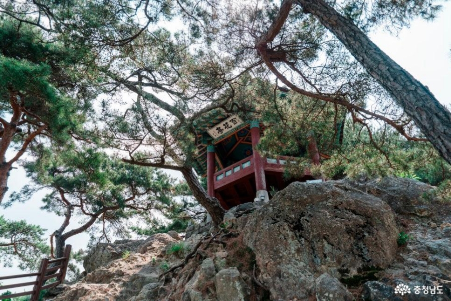 세종 대통령기록관+부여 서동연꽃 1,000만 송이(궁남지)+백마강유람선(황포돛배)+고란사+낙화암+부소산성+부여박물관