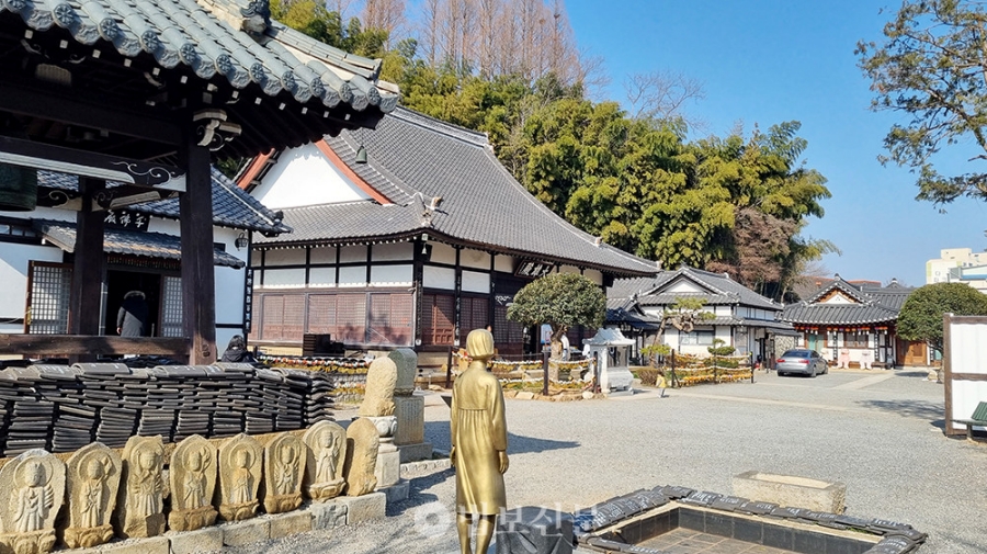익산 천만송이 국화축제+군산 군대화거리+서천 신성리 갈대밭+황등석산 채석장+문헌서원