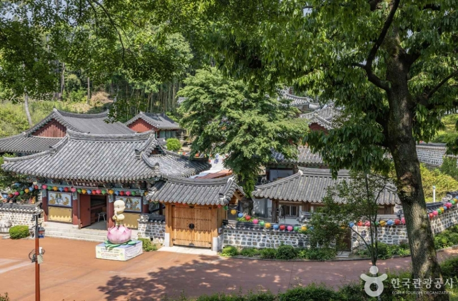 [3사찰] 진주 월아산 수국 수국 페스티벌+사천 다솔사(천년고찰)+진주 응석사+진주성 호국사
