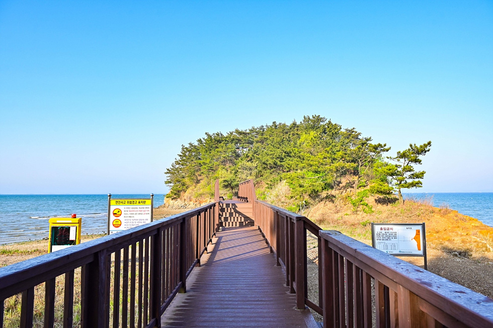 4f22392eaab514e0aeda042edef04262_1700958657_0995.jpg 4f22392eaab514e0aeda042edef04262_1700958657_0995.jpg