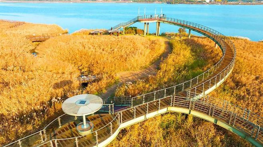 익산 천만송이 국화축제+서천 신성리 갈대밭+나바위성당+황등석산 채석장+문헌서원