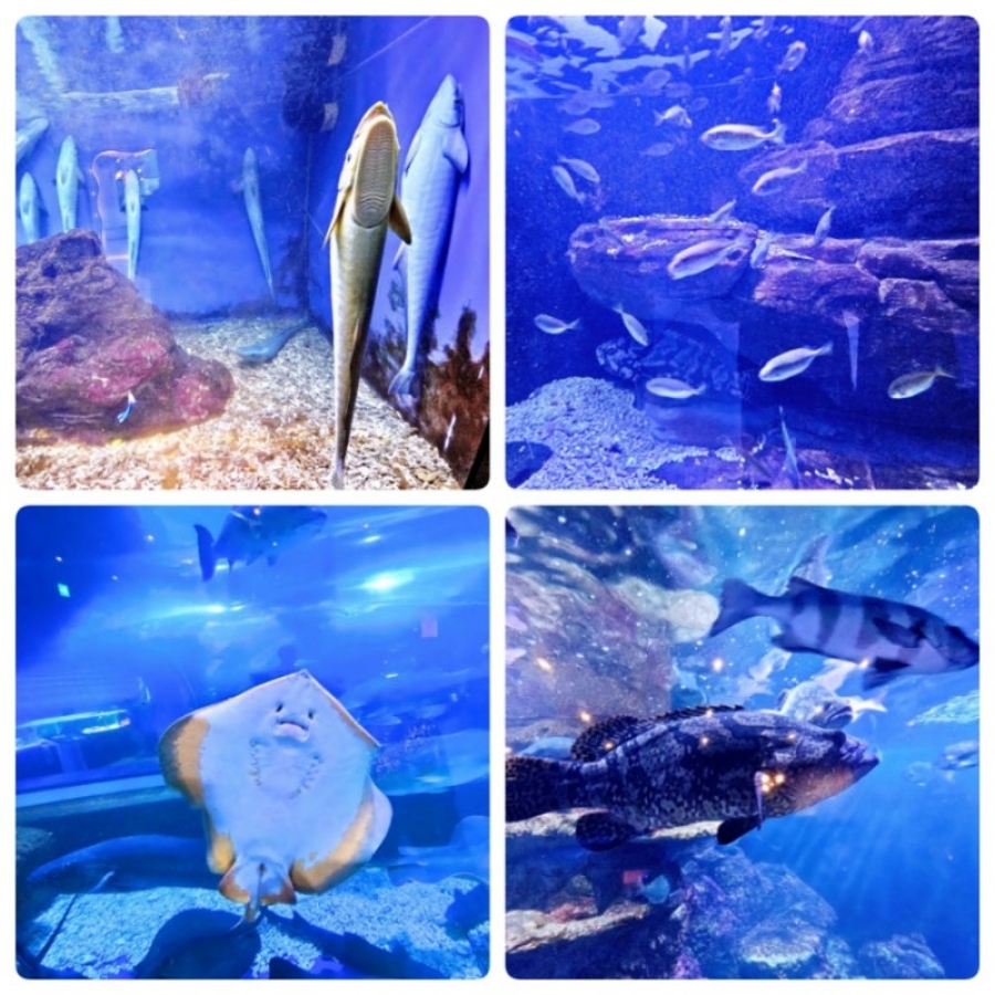 여수세계섬박람회+큰끝등대 비경+바다를 품은 용월사+이순신대교 전망대+해양수산과학관