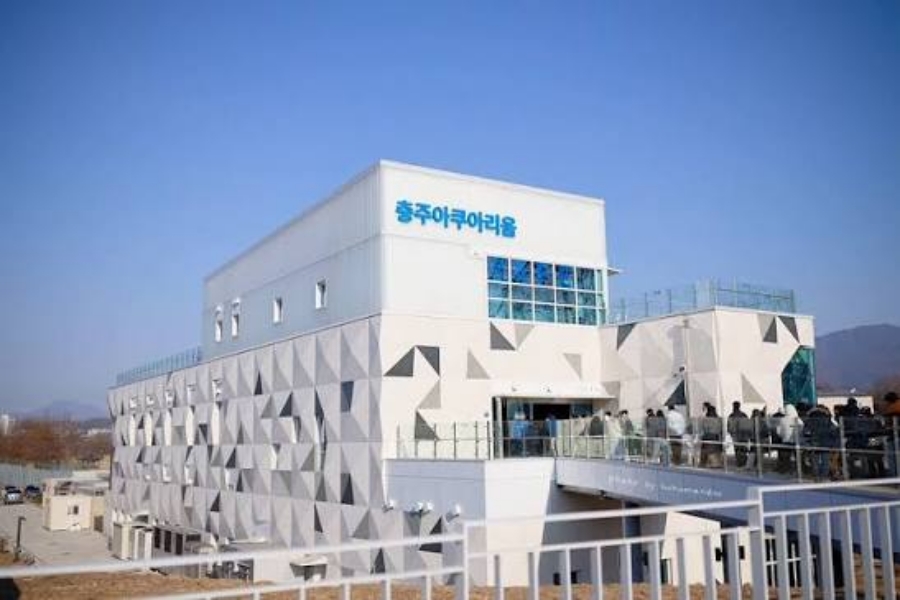 활옥동굴(11~15 ℃ 서늘해요)+동굴 카약체험+중앙탑 사적공원+탄금호 무지개길+충주아쿠아리움+괴산 선유동 계곡