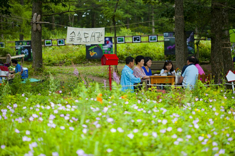 태백 해바라기축제(구와우마을)+시원한 용연굴+만항재 야생화축제+적멸보궁 정암사 복제