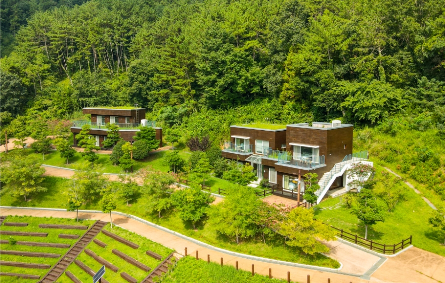 통영RCE세자트라숲+이순신공원 수국 산책로+달아전망대+통영 중앙전통시장+광도천 수국꽃길