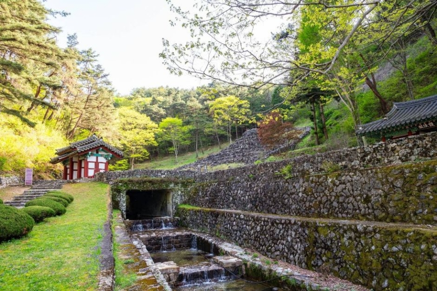합천 황매산 철쭉제+핫들생태공원 작약+전 구형왕릉+성철스님 생가 터 겁외사+남사예담촌