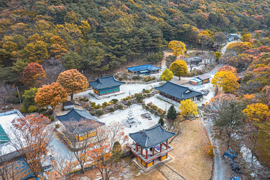 [논산 3사찰] 영주사+쌍계사+개타사+장태산자연휴양림+뿌리공원(효월드)
