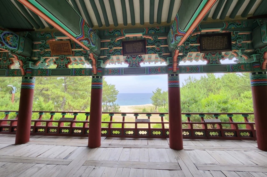 [울진] 바닷속 전망대+죽변 등대+폭풍속으로 세트장+관동팔경(망양정+월송정)+평해사구습지+바닷가 정자 금호정+촛대바위+물개바위
