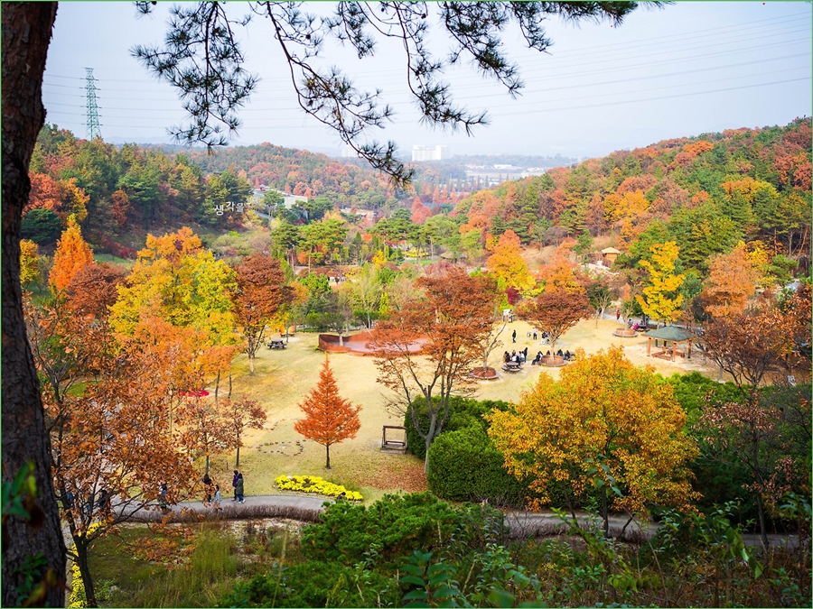 화담숲 가을단풍축제+여주 황학산 수목원+명성왕후 생가